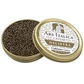 Calvisius: Oscietra Royal Caviar 28g